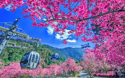 Formosan Aboriginal Culture Village Ticket