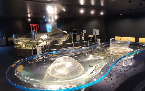 千歲水族館門票