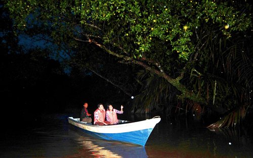 BOHOL COUNTRYSIDE TOUR with FIREFLY WATCHING