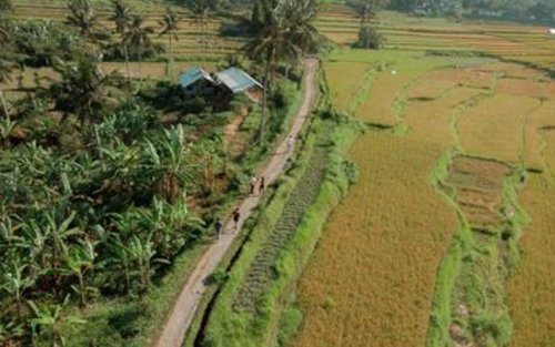 Bali Made Escape Tour Privato di Trekking di un Giorno Intero