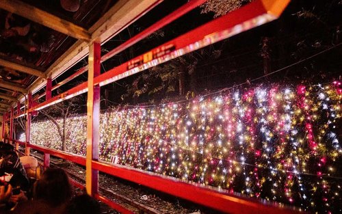 Kyoto Kinkaku-ji Temple & Sagano Romantic Train Night Maple One-Day Tour
