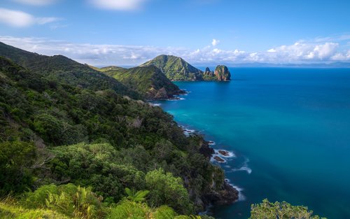 Coromandel Peninsula & Cathedral Cove Full-Day Small Group Tour
