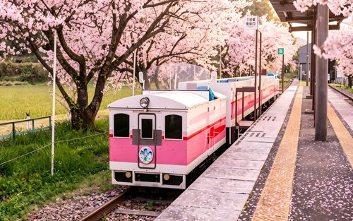 Excursie de o zi în Kyushu Takachiho | Croazieră pe râul Takachiho Gorge, Sanctuarul Kamishikimi Kumanoza / Trenul Takachiho, Muntele Aso, Kusasenri (plecare din Kumamoto)