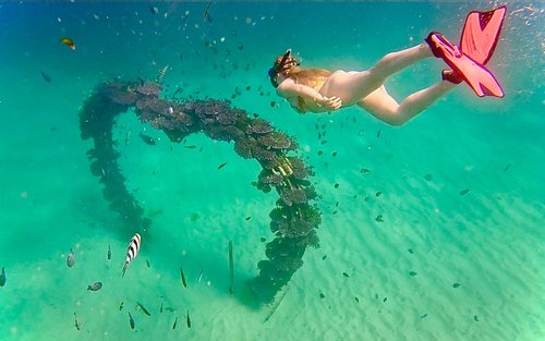 Snorkeling Experience in Sanur Coastal