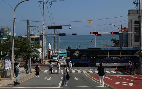 프라이빗 차량 단독 투어: 부산 및 근교 (부산 출발)