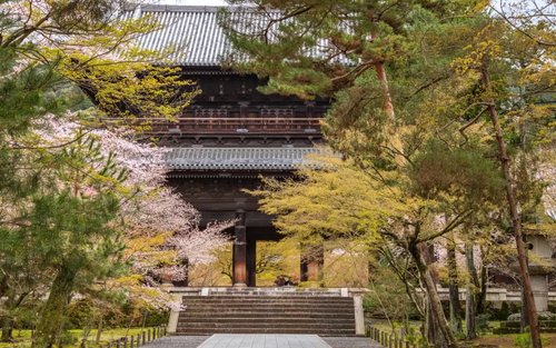 Bamboo Artistry & Zen Serenity Tranquility with Ginkaku-ji in Kyoto
