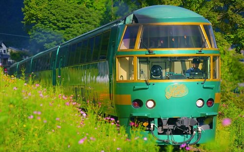 [Chinese and English Tour Guide] Kyushu Fukuoka Beppu Six Great Views Day Tour: Mt. Yufu Forest Train, Natural Animal Park, Nyoirin-ji Temple, Yufuin, Umi Jigoku