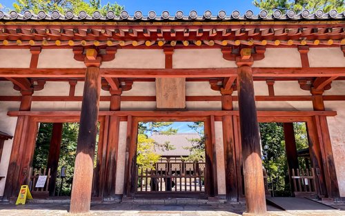 Tour privato di un'intera giornata a Nara, patrimonio dell'UNESCO, da Kyoto e Osaka