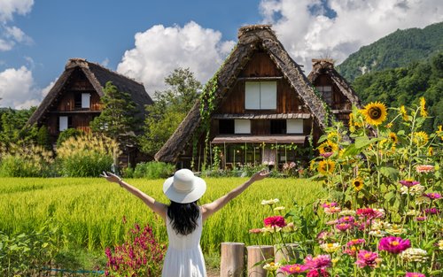 Shirakawa-go, Gujo Hachiman, and Hida Takayama Day Trip