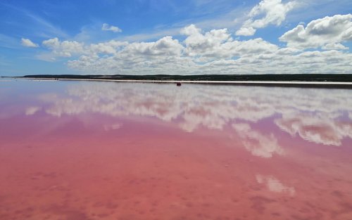2 Day Pink Lake and Kalbarri Tour