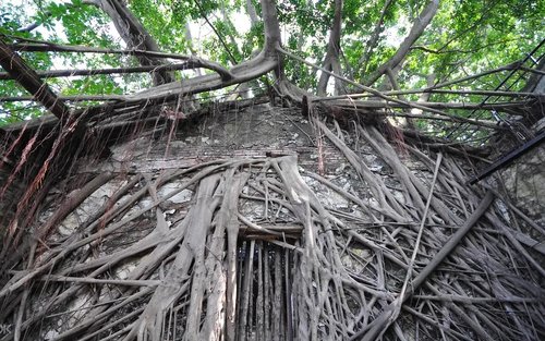 Anping Tree House Admission Ticket