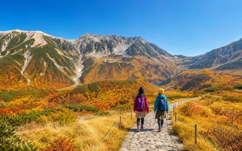 Tateyama Kurobe Alpine Route Day Tour from Nagano