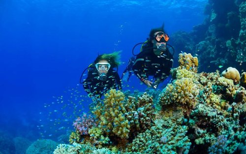 Full Day Racha Yai Scuba Diving Course All Inclusive from Phuket