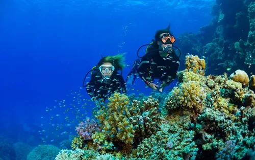 Corso di immersioni subacquee di un'intera giornata a Racha Yai, tutto incluso, con partenza da Phuket