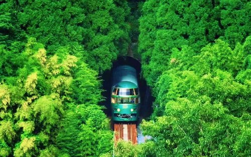 Yufuin no Mori Train Experience: Yufuin Onsen Town & Kyushu Zoo & Beppu Hells or Dazaifu Tenmangu Shrine + Beppu Ropeway Tour