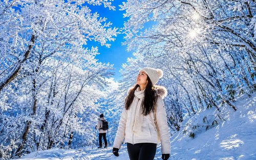 Nabana no Sato & Gozaisho Ropeway Full-Day Winter Group Tour