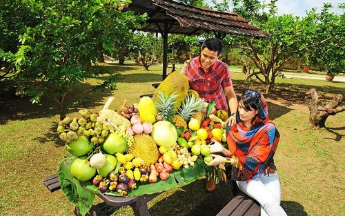 Penang Tropical Fruit Farm Guided Tour