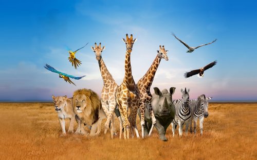 Safari World Bangkok Ticket