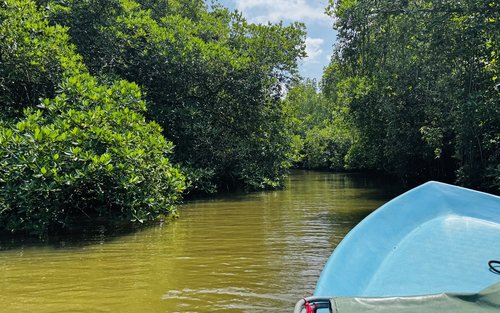 Madu River Private Boat Cruise Safari