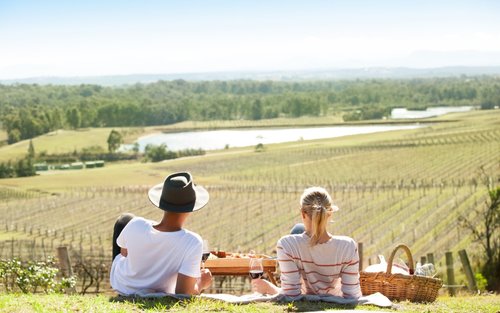 Picknick und Weinprobe im Audrey Wilkinson Vineyard im Hunter Valley