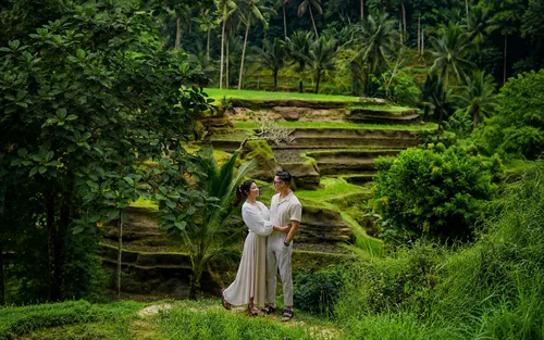 Best of Ubud Private Tour - Waterfalls, Rice Terrace & Sacred Temple