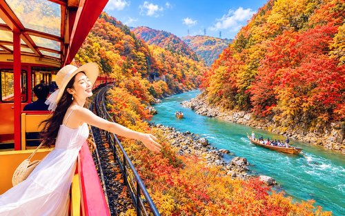 Kyoto, Arashiyama, Nara: Sagano Scenic Railway, Bamboo Forest Path, Yuzen Forest of Light, Nara Park, Fushimi Inari Shrine, Chiikawa Store Visit Day Trip | Departure from Osaka