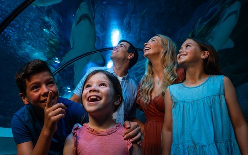 Tiket SEA LIFE Sunshine Coast Aquarium