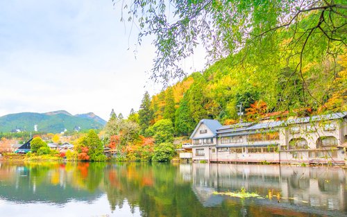 由布院・别府灶地狱・太宰府天满宫一日游（福冈出发）｜中文导游・含灶地狱门票