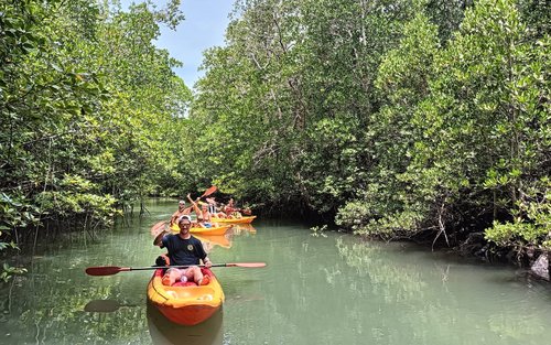 Passeio de caiaque de meio dia em manguezais e vilarejos em Koh Yao Yai