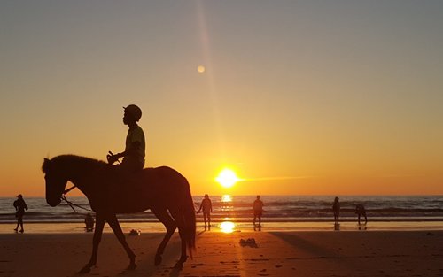 Kawa Kawa Wildlife & Fireflies River Cruise in Sabah