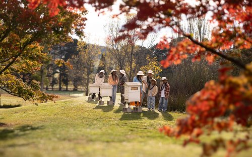 Bowral Honey Farm Nature and Honey Tasting Tour