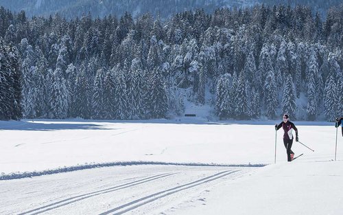 Pengalaman Cross Country Ski di Lapland, Rovaniemi 