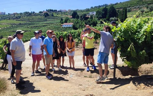 Porto Douro Valley Full-Day Wine Tasting & River Cruise