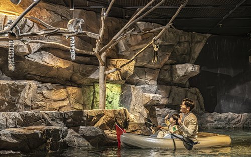 Entrada al parc temàtic d'animals interior Gyeonggi Dongtan Zoolung Zoolung