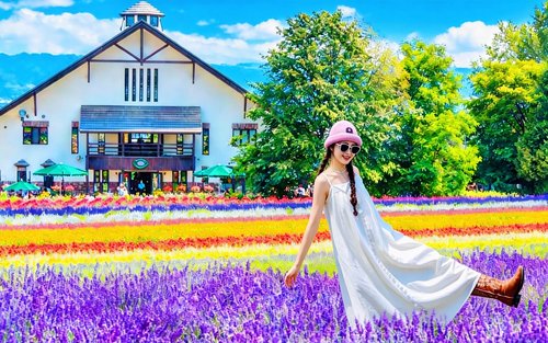 Hokkaido Flower Field Tour: Patchwork Road, Shikisai-no-oka, Blue Pond, Shirogane Falls, Farm Tomita Day Trip | Departing from Sapporo
