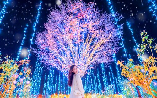Japan's Top 3 Illumination Shows: Flower Garden of Light & Ibaraki Lucky Turtle & Nakaminato Fish Market & Oarai Isosaki Shrine One-Day Tour