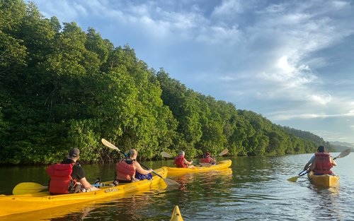 Mangrove Kayaking Serusup Tuaran Sunset and Sunrise Tour