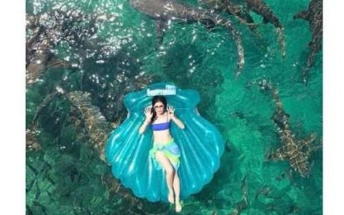 Malé Half-Day Nurse Shark & Sandbank Tour with Snorkeling