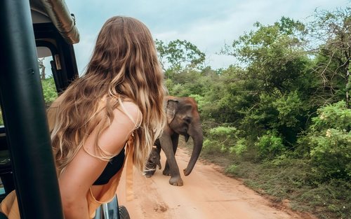 Udawalawe Safari: Private, Shared & Elephant Transit Home Tours