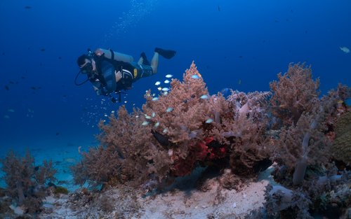 Scuba Diving 3 Try Dive for Beginners Racha Islands + Hotel Transfer