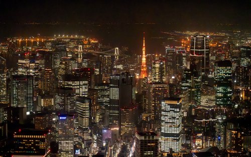 东京夜间直升机之旅