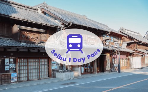 Билет на 1 день SEIBU