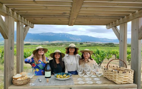 San Sebastian to La Rioja wine experience with tastings and vineyard visits