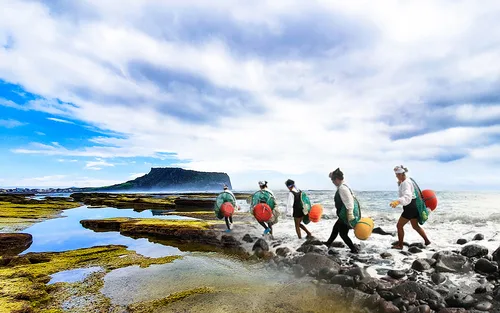 济州世界遗产精选一日游 - 享受顶级体验