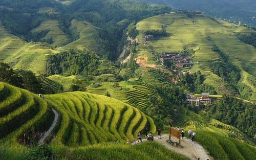 龙脊梯田及少数民族村寨之旅