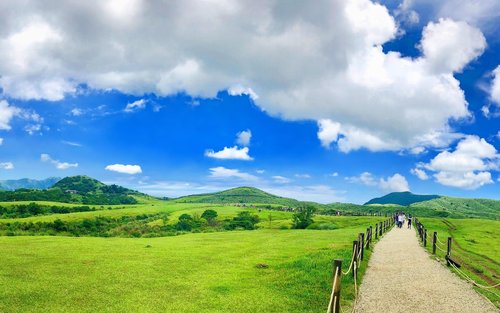 Taipei Full-Day Yangmingshan & Yehliu Geology Tour