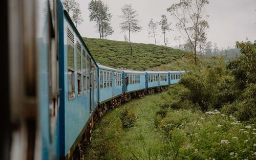 Kandy Half-Day Scenic Train Journey to Nanu Oya