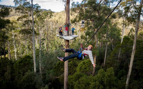 Hollybank Wilderness Zipline, Segway, and Tree Ropes in Launceston