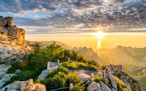 青島崂山風景区終日探索ツアー