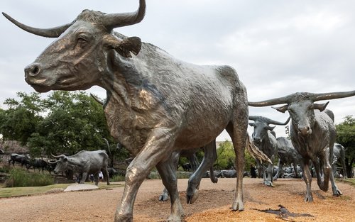 Soukromá prohlídka Dallas West End do Klyde Warren Park s vlastním průvodcem